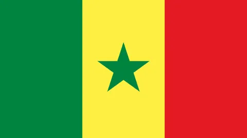 姆巴佩：梦想在欧冠舞台闪耀的大巴黎时光