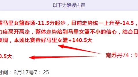 阿拉伯国家领导人集会探讨加沙问题
