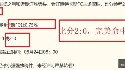 意甲焦点战：特奥精准助攻，吉鲁锁定胜局，米兰1-0逆转都灵终结连败